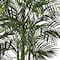 5ft. Areca Palm Tree in White Planter